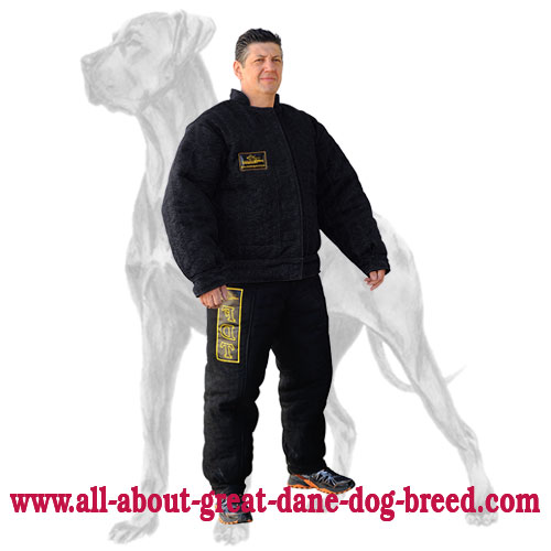 Dog online bite jacket