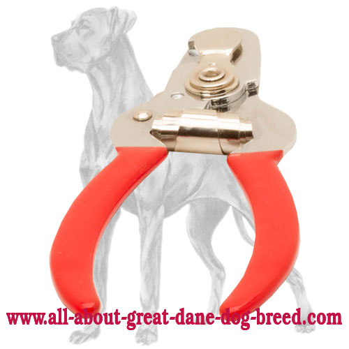 Personal Groomer Great Dane Nail Clipper with Sharp Steel Blades and Vinyl  Handles : Great Dane Breed: Harness, Great Dane Muzzle, Great Dane Dog  Collar, Dog Leash | 2023 [BUY NOW]