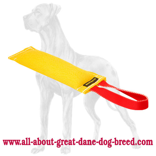 French Linen Great Dane Bite Tug with a Functional Handle