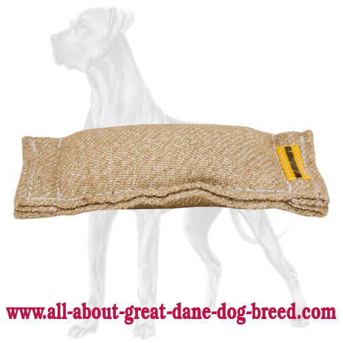 Jute Great Dane Bite Tug without Handles