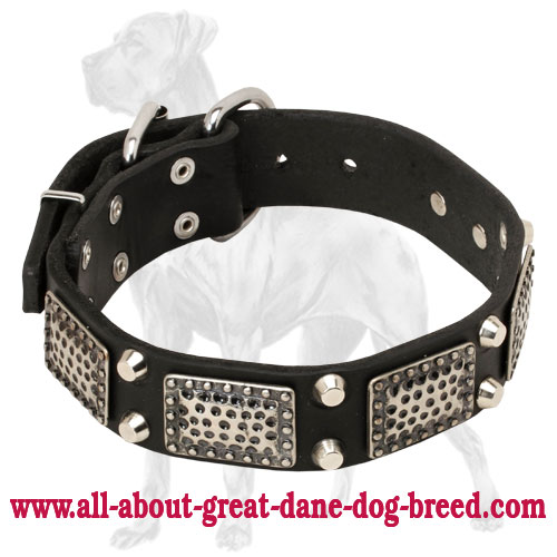 Plated Leather Great Dane Collar with Pyramids