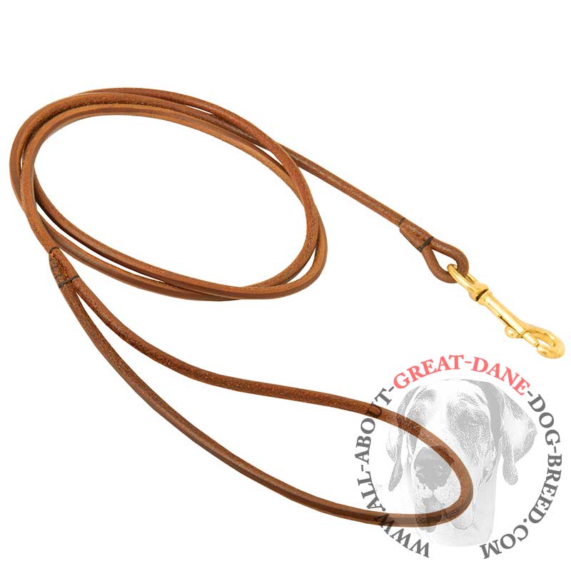 Leather Great Dane Leash for Dog Show [L371094 Round leather leash (5mm)] Great Dane harness
