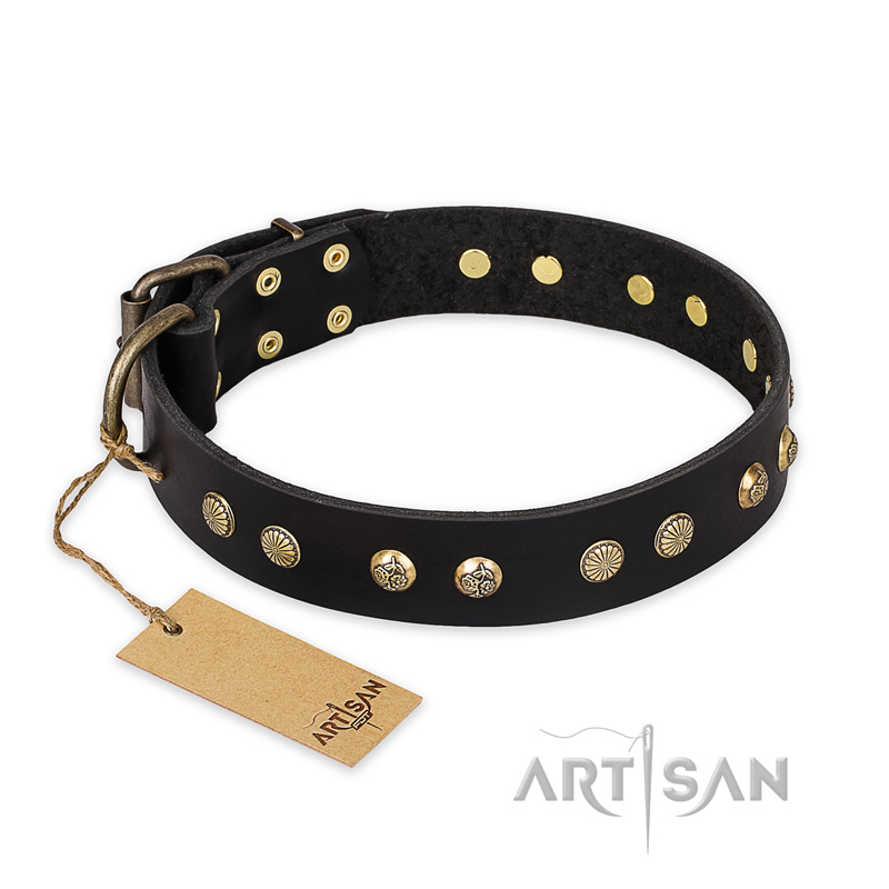 'Black Elegance' FDT Artisan Great Dane Leather Dog Collar with Round Studs