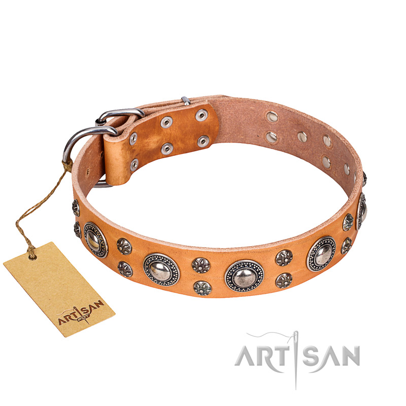 "Extra Sparkle" FDT Artisan Tan Natural Leather Collar for Great Dane