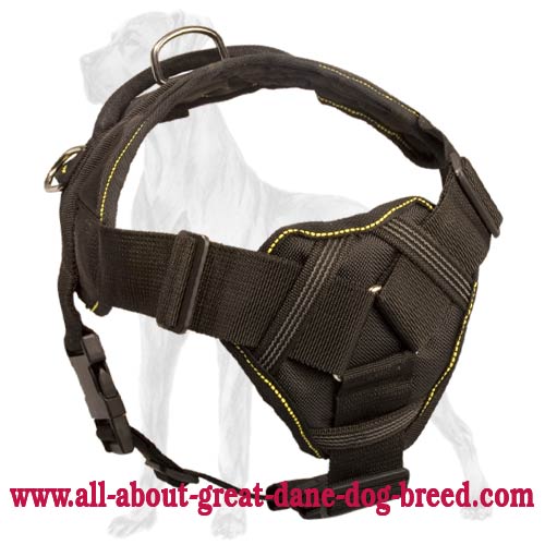 Exclusive All Weather Nylon Great Dane Harness