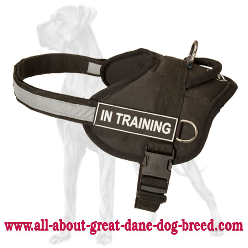 Service Nylon Great Dane Harness with Velcro ID Patches : Great Dane Breed:  Harness, Great Dane Muzzle, Great Dane Dog Collar, Dog Leash