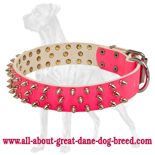 great dane collars