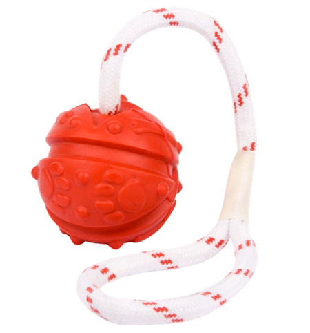 Similar to Everlasting Fun Ball on a Rope for Great Dane