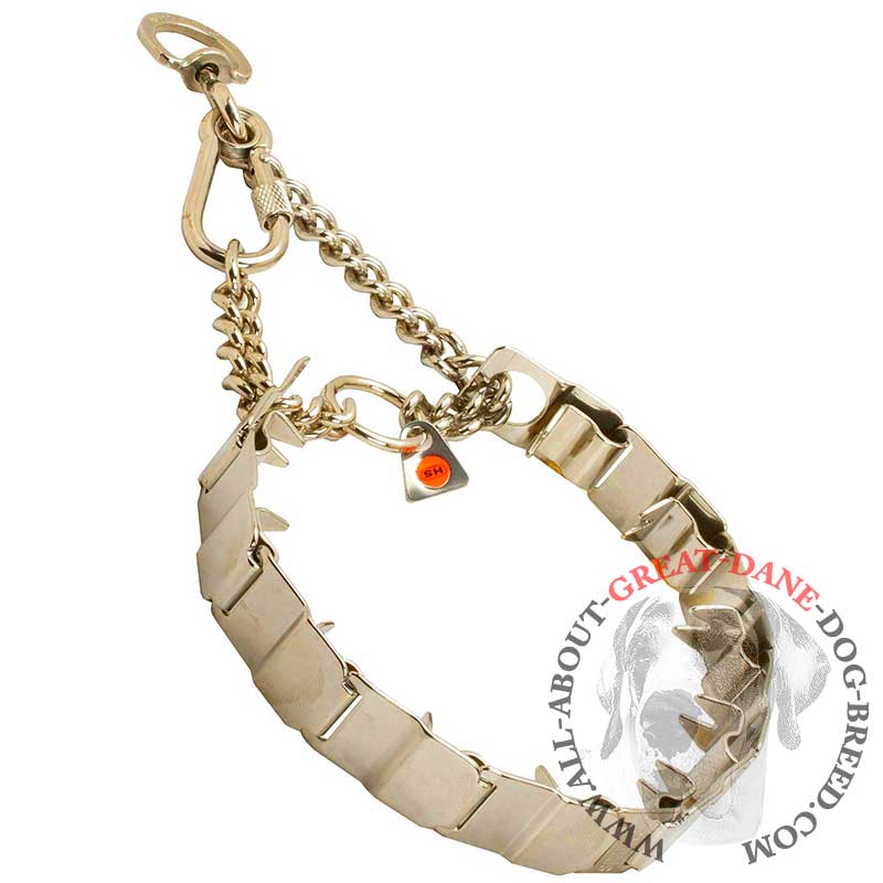 Stainless Steel Neck Tech Dog Prong Collar for Great Dane - 19 inch (48 cm)