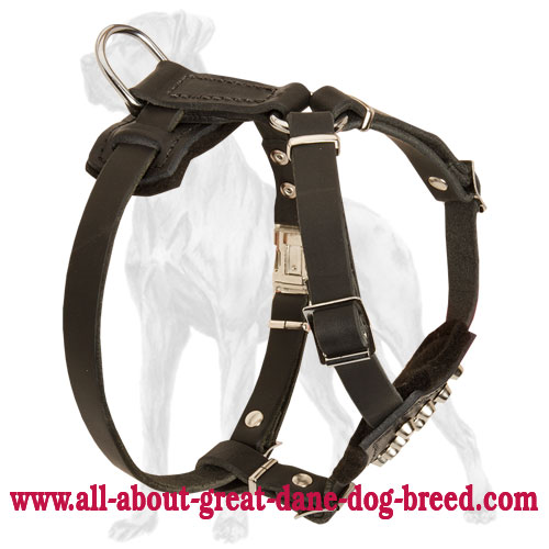 Fashionable Leather Great Dane Harness with Studs