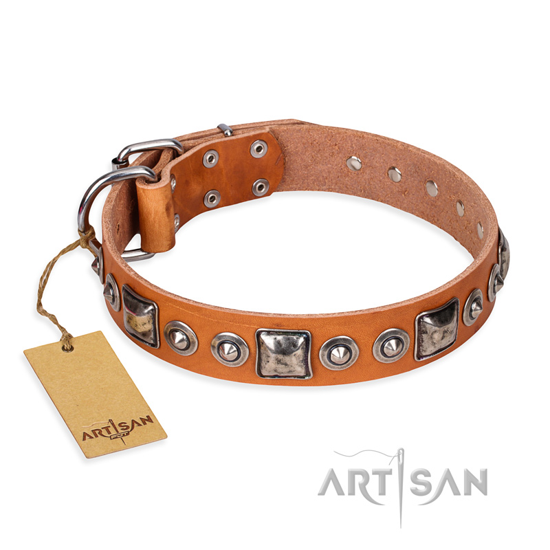 'Era of Future' FDT Artisan Handcrafted Tan Leather Great Dane Dog Collar with Decorations