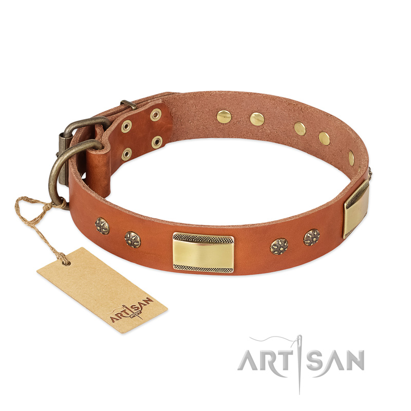 'Enchanting Spectacle' FDT Artisan Great Dane Tan Leather Dog Collar with Golden-Like Studs - 1 1/2 inch (40 mm) wide
