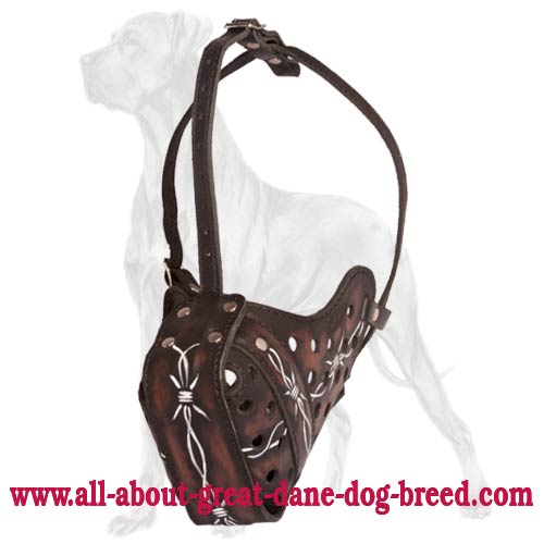 Handpainted Leather Dog Muzzle for Great Dane Breed Safe Attack Training