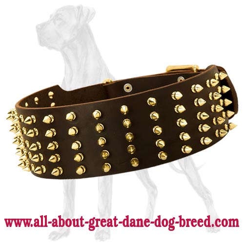 Wide Spiked Leather Great Dane Collar - Click Image to Close