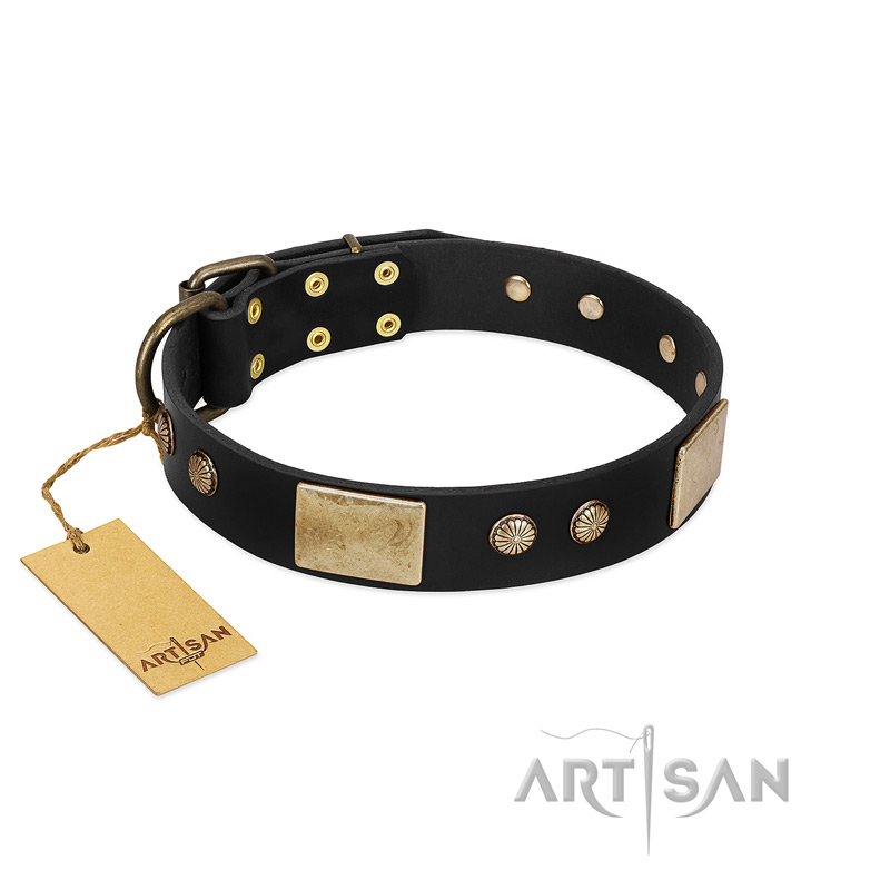 "Antique Gloss" FDT Artisan Black Leather Great Dane Collar with Bronze-like Plates and Small Studs