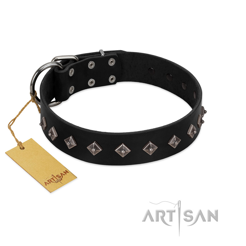 "Immense Power" Handcrafted FDT Artisan Black Leather Great Dane Collar with Small Dotted Pyramids