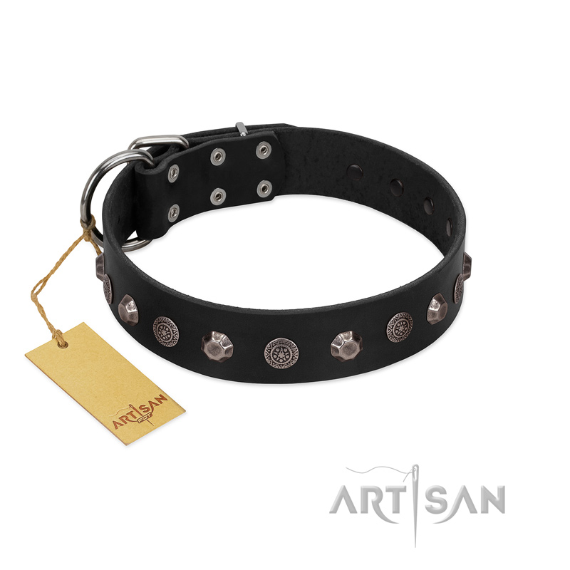 "Black Knight" Handmade FDT Artisan Black Leather Great Dane Collar with Silver-Like Studs