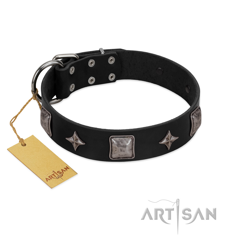 "Black Cavalier" Handmade FDT Artisan Black Leather Great Dane Collar with Silver-Like Stars and Large Plates