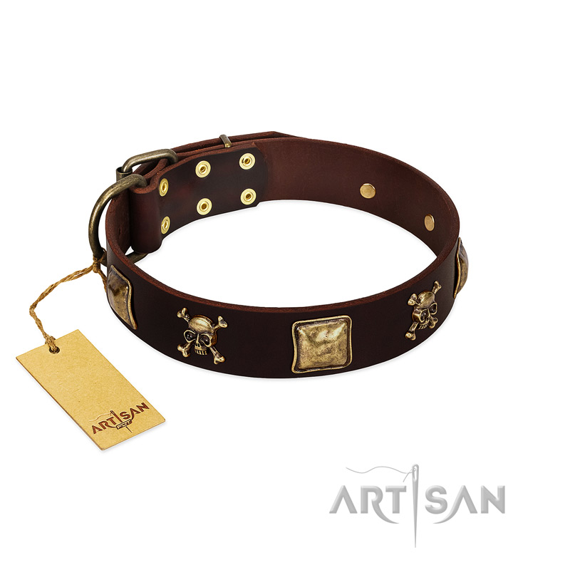 "Crazy Pirate" FDT Artisan Brown Leather Great Dane Collar with Old Bronze-Plated Skulls and Plates