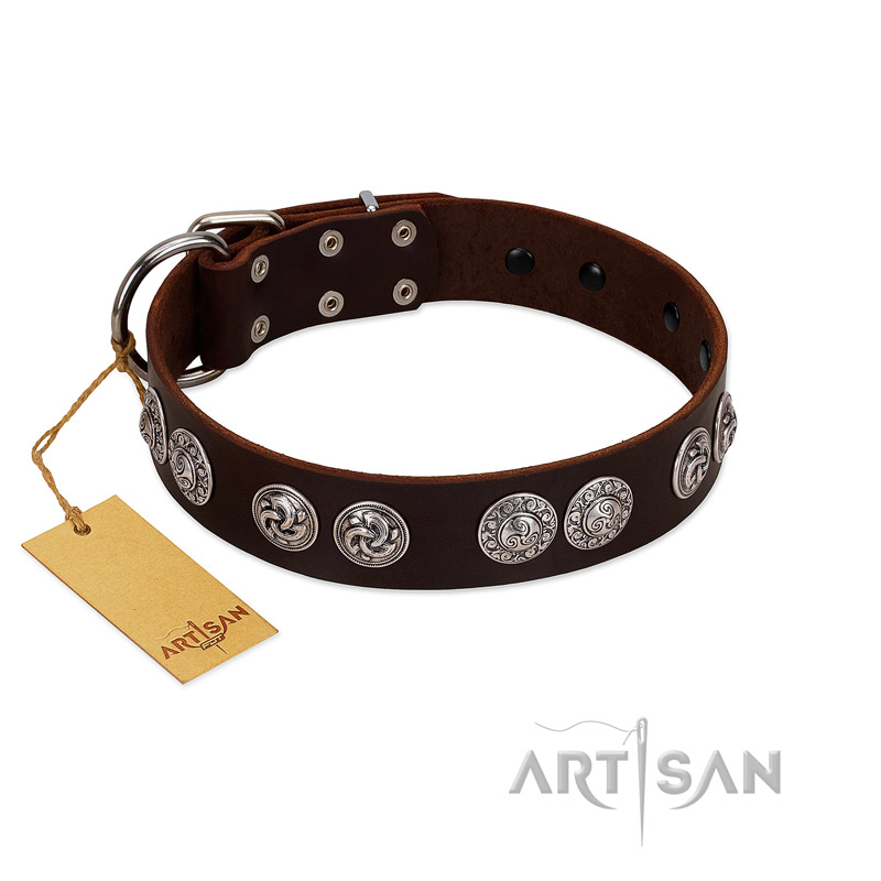 "High and Mighty" FDT Artisan Classy Brown Leather Great Dane Collar with Embellished Brooches