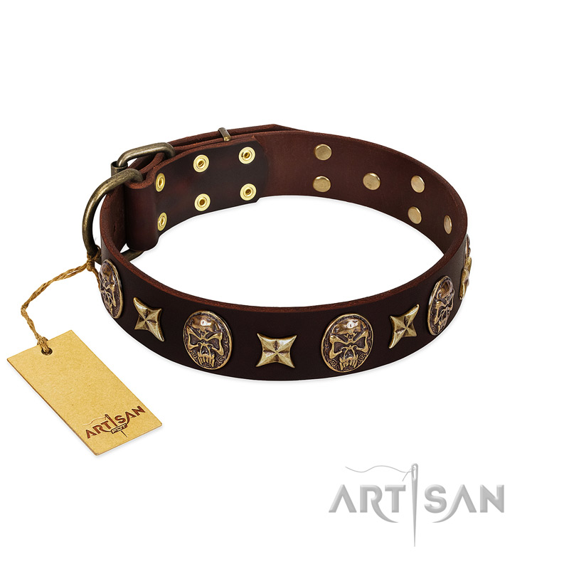 "Captain Hook" FDT Artisan Brown Leather Great Dane Collar with Stars and Skulls