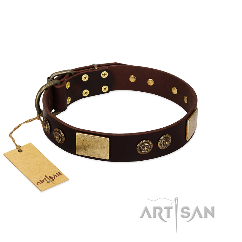 "Bow-Wow Effect" FDT Artisan Brown Leather Great Dane Collar with Plates and Ornate Studs