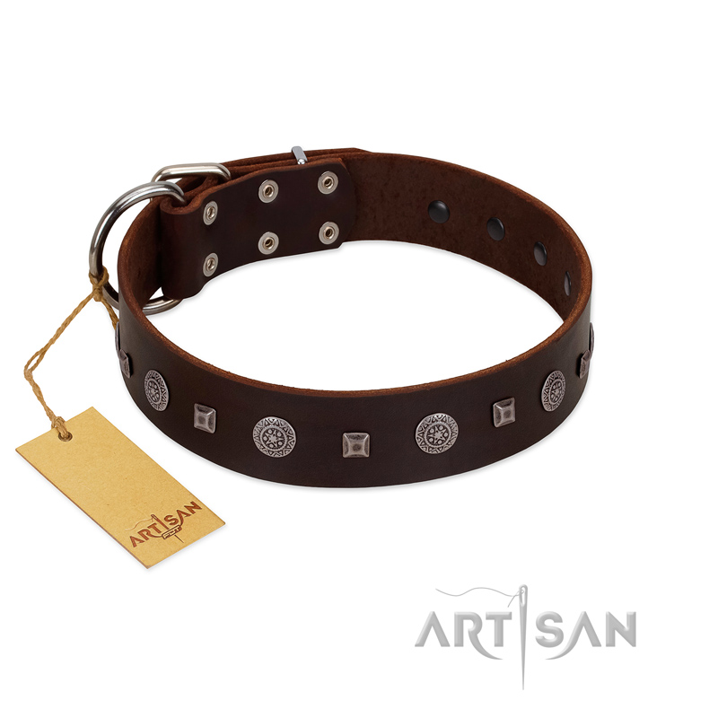 "Pure Sensation" Exclusive FDT Artisan Brown Leather Great Dane Collar with Fancy Brooches and Studs
