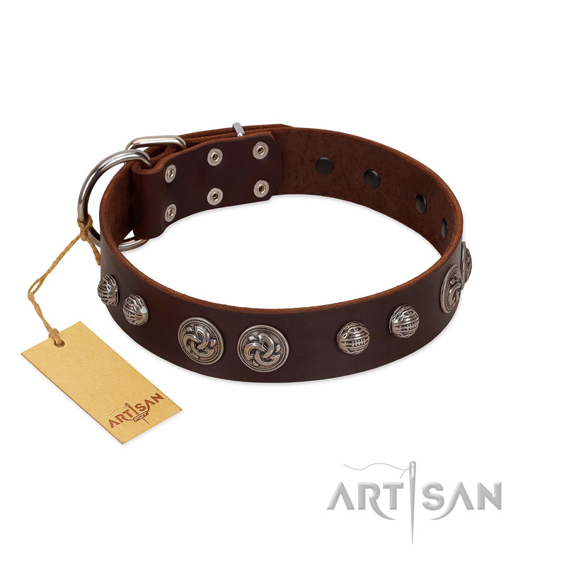 "Choco Brownie" FDT Artisan Brown Leather Great Dane Collar Adorned with Silver-Like Conchos