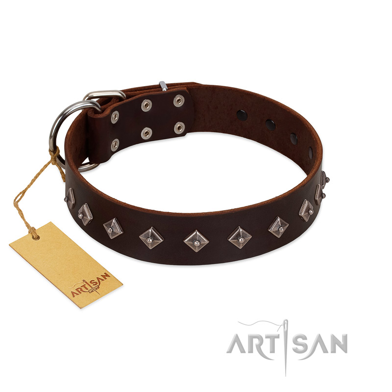 "Boundless Energy" Premium Quality FDT Artisan Brown Designer Leather Great Dane Collar with Small Pyramids