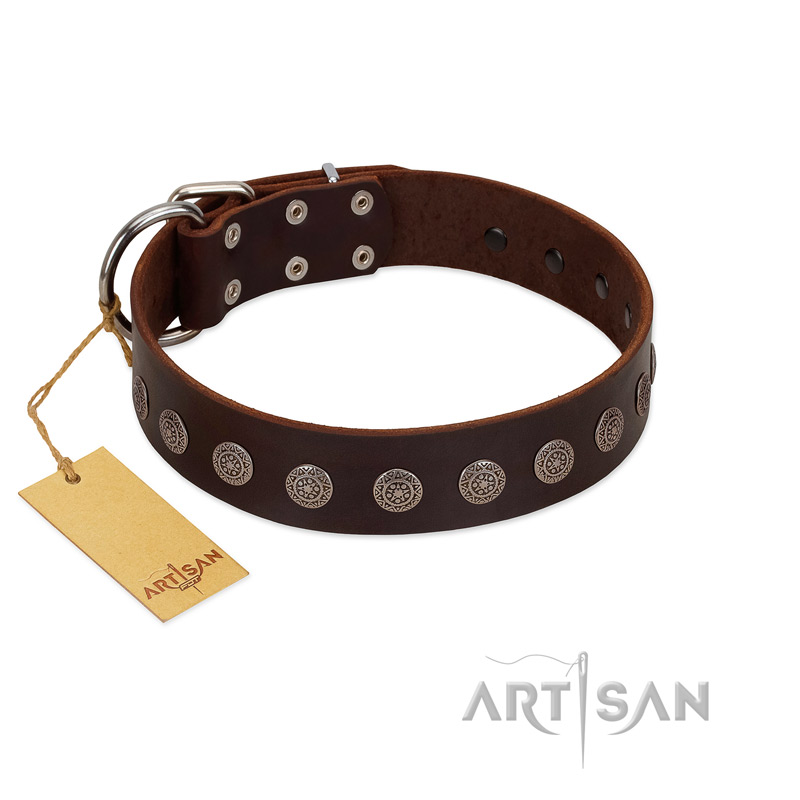 "Starry-Eyed" Best Quality FDT Artisan Brown Designer Leather Great Dane Collar with Small Plates