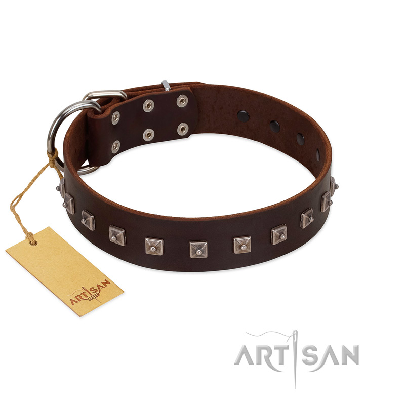 "Kingly Grace" FDT Artisan Brown Leather Great Dane Collar with Silver-like Dotted Studs