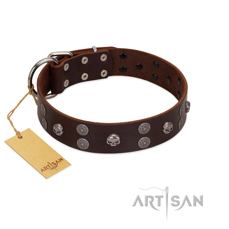 "Skull Valley" Handcrafted FDT Artisan Brown Leather Great Dane Collar with Skulls