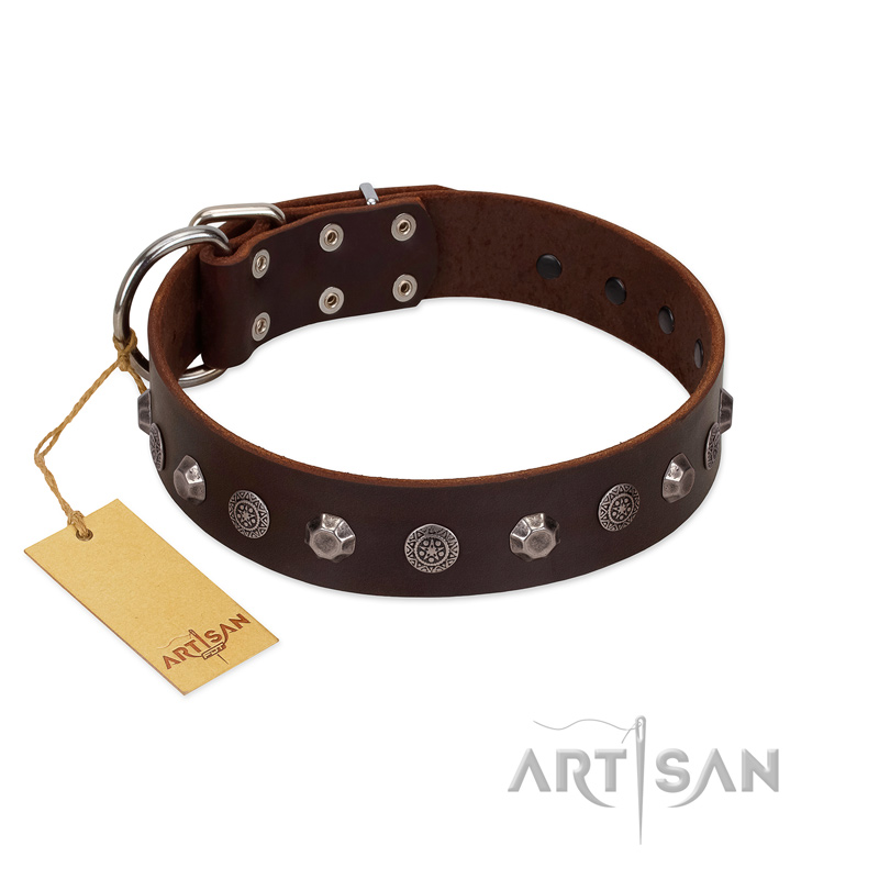 "Dark Chocolate" Handmade FDT Artisan Brown Leather Great Dane Collar with Studs