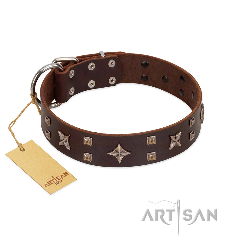 "Stars in Sands" Modern FDT Artisan Brown Leather Great Dane Collar with Studs and Stars
