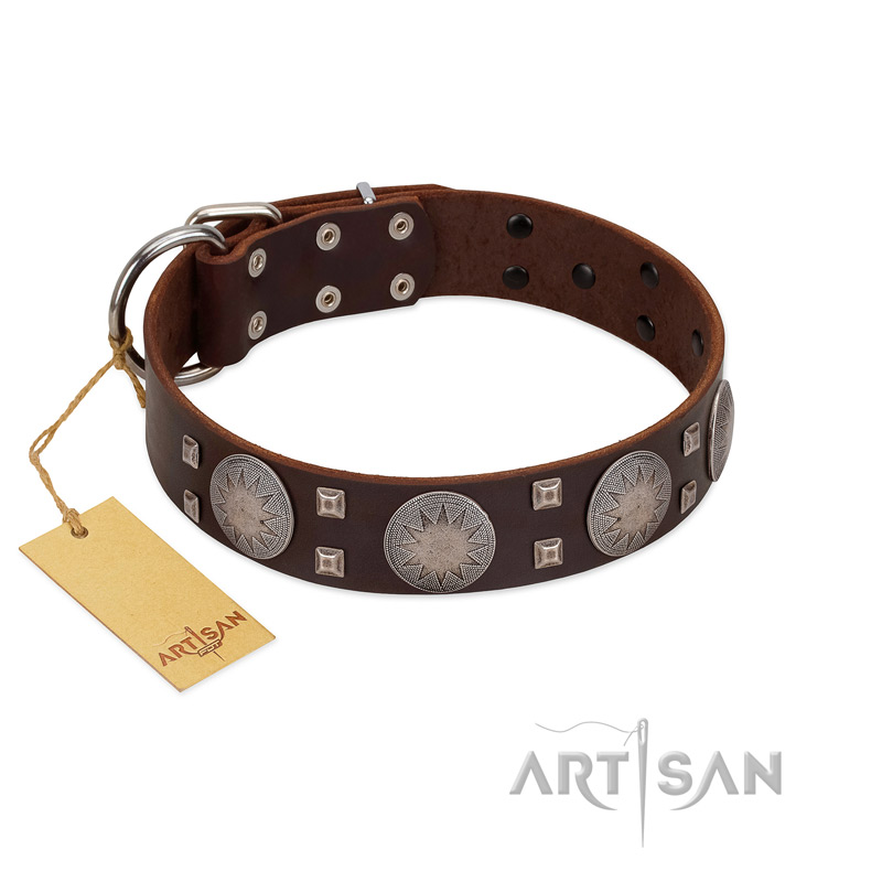 "Sun in Barchans" Modern FDT Artisan Brown Leather Great Dane Collar with Engraved Stars on Round Plates and Studs