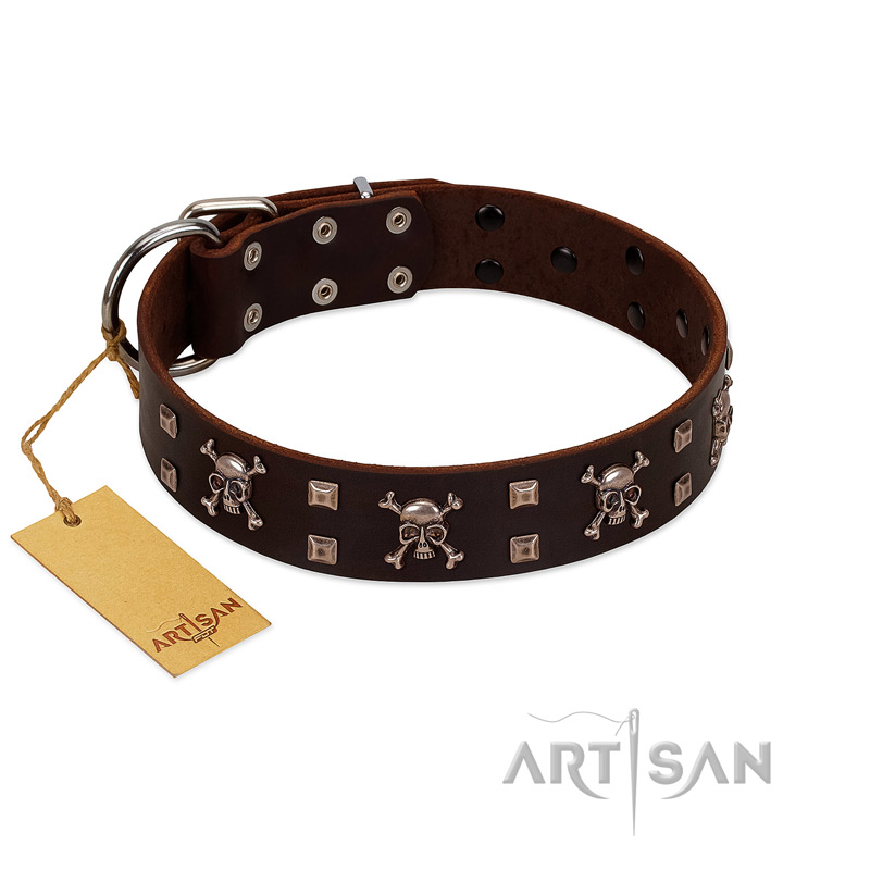 "Menacing Allure" FDT Artisan Brown Leather Great Dane Collar Embellished with Silvery Crossbones and Square Studs