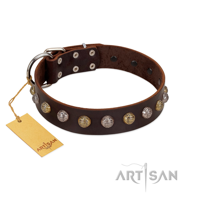 "Gape Buster" FDT Artisan Brown Leather Great Dane Collar with One Row of Studs