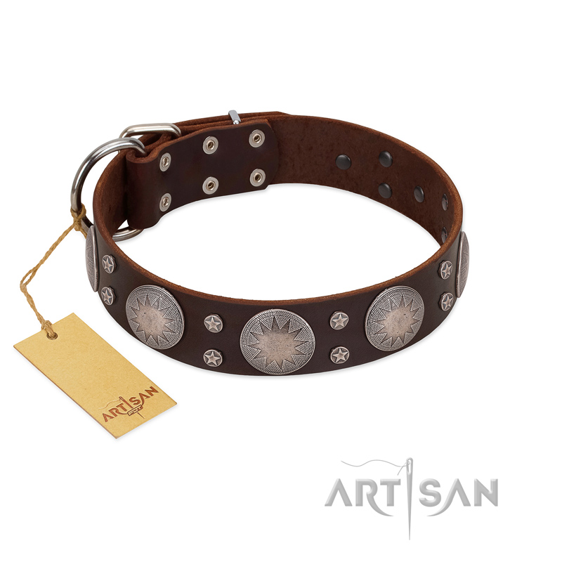 "Imperial Legate" FDT Artisan Brown Leather Great Dane Collar with Big Round Plates