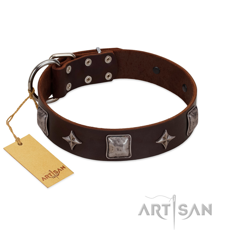 "Cold Star" Designer FDT Artisan Brown Leather Great Dane Collar with Silver-Like Adornments - Click Image to Close