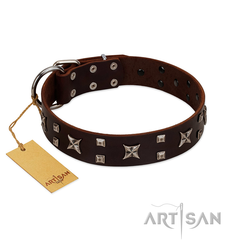 "Bigwig Woof" FDT Artisan Brown Leather Great Dane Collar with Chrome Plated Stars and Square Studs
