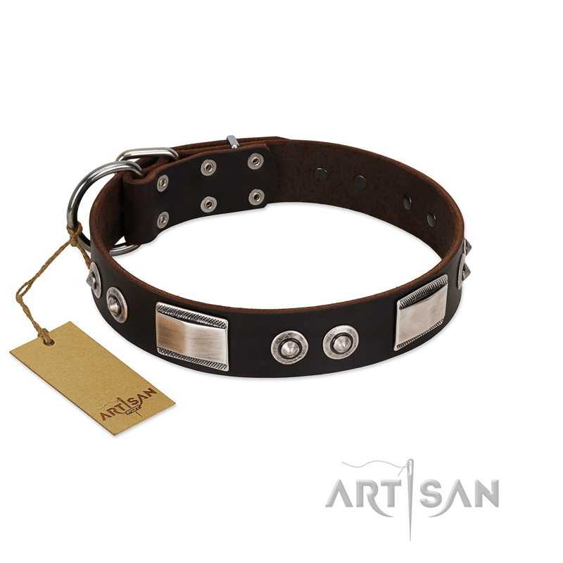 "Baller Status" FDT Artisan Brown Leather Great Dane Collar Adorned with a Set of Chrome Plated Studs and Plates