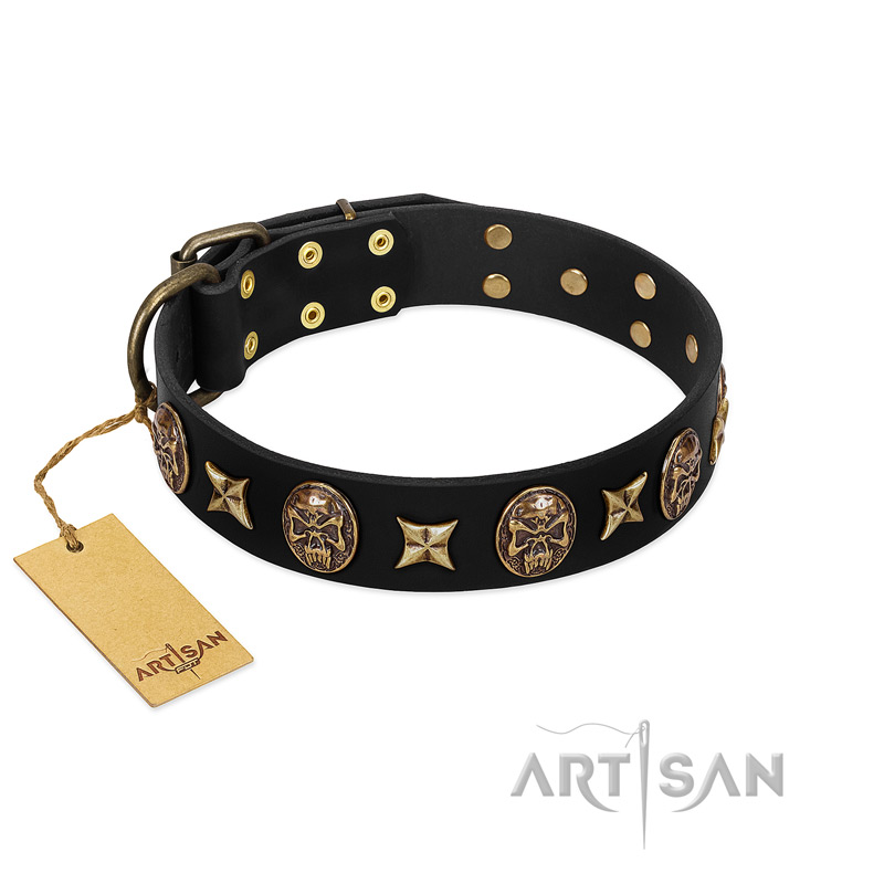 "Starry Saga" FDT Artisan Black Leather Great Dane Collar with Stars and Skulls