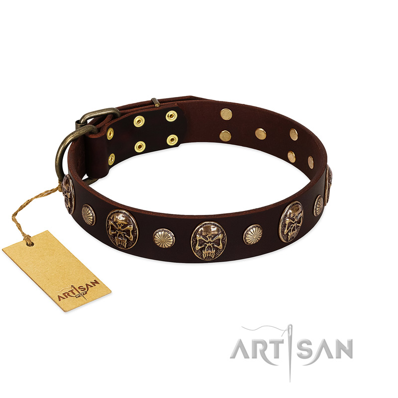 "Snazzy Paws" FDT Artisan Brown Leather Great Dane Collar Adorned with Conchos and Medallions