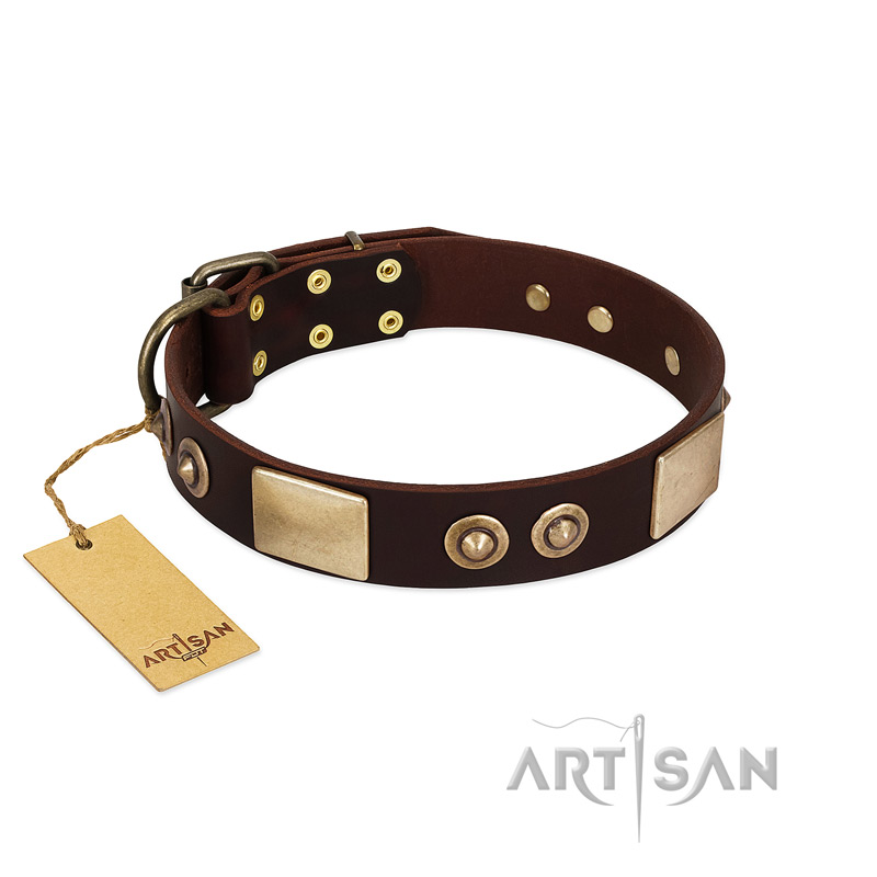"Sense of Freedom" FDT Artisan Brown Leather Great Dane Collar with Old Bronze-Plated Studs and Plates