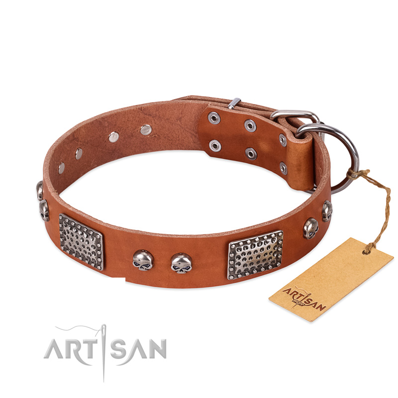 "Sparkling Skull" FDT Artisan Tan Leather Great Dane Collar with Old Silver Look Plates and Skulls