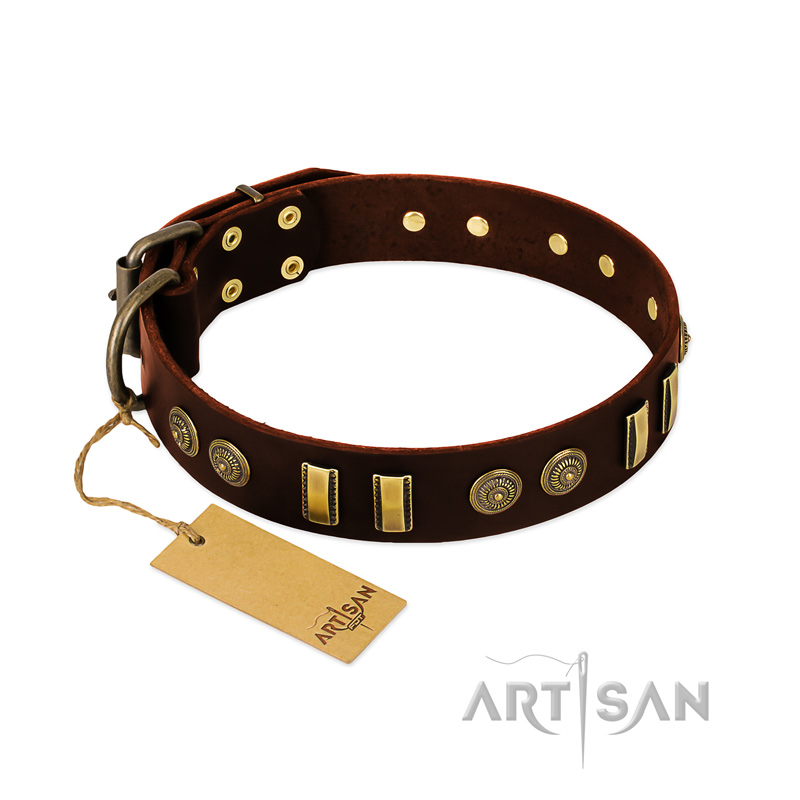 "Golden Elegance" FDT Artisan Brown Leather Great Dane Collar with Old Bronze-like Decorations
