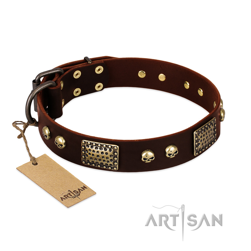 "Magic Amulet" Brown Leather Great Dane Collar with Skulls and Plates