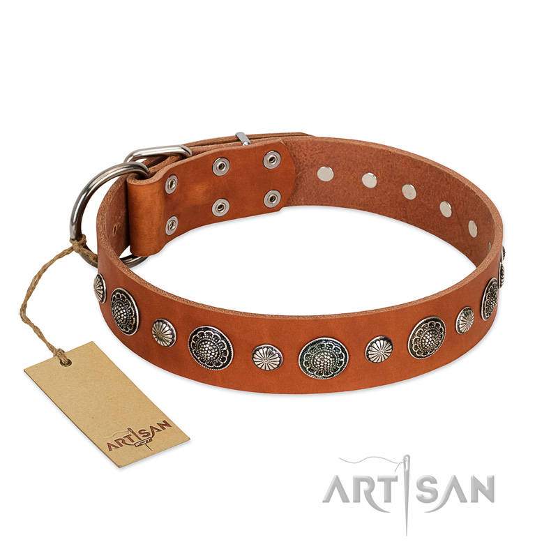 "Natural Beauty" FDT Artisan Tan Leather Great Dane Collar with Shining Silver-like Studs