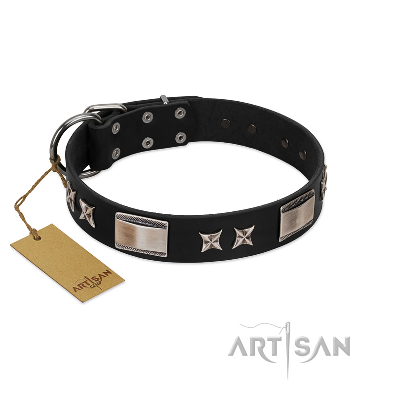 "Pitch Dark" FDT Artisan Black Leather Great Dane Collar with Stars and Plates