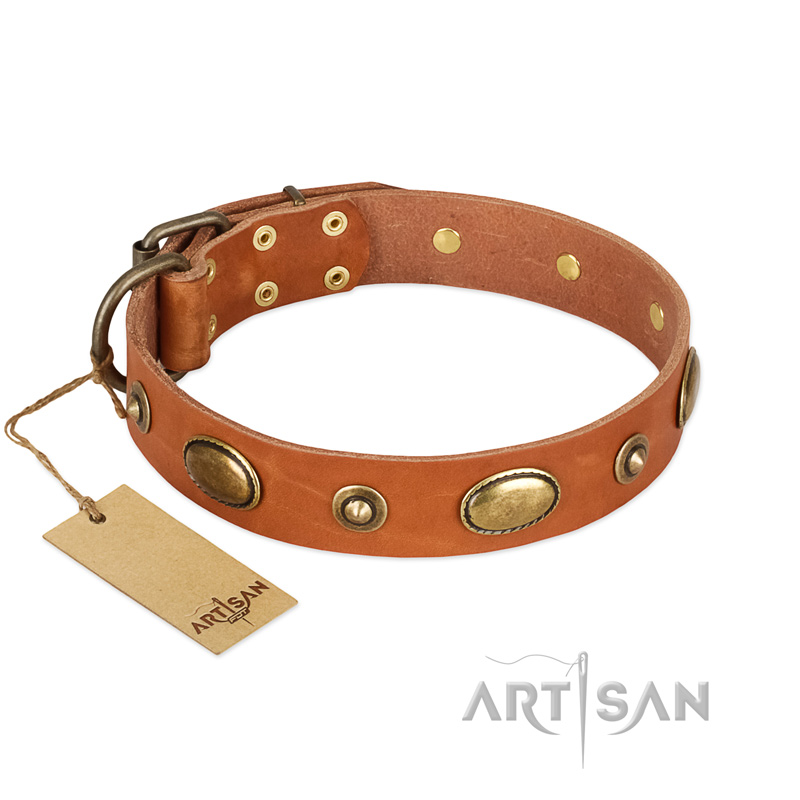"Visual Magic" FDT Artisan Tan Leather Great Dane Collar for Daily Activities